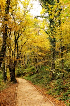  埃克森美孚推进圭亚那Longtail开发；SBM Offshore负责浮式生产装置前端设计。 新闻 埃克森美孚推进圭亚那Longtail开发；SBM Offshore负责浮式生产装置前端设计。 新闻