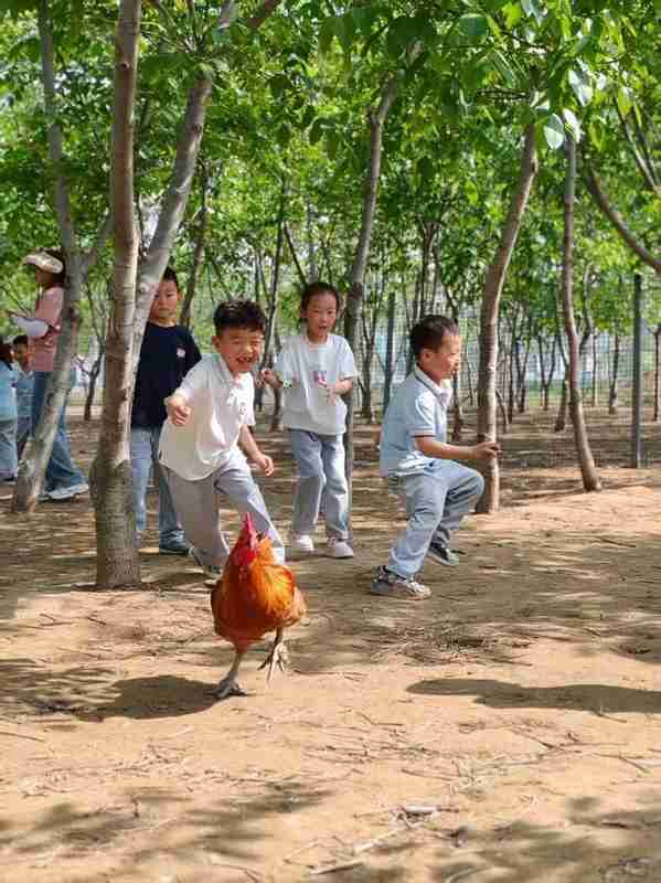 技术赋能文旅体验:郑州樱桃沟沉浸式亲子游的创新解法 文化旅游
