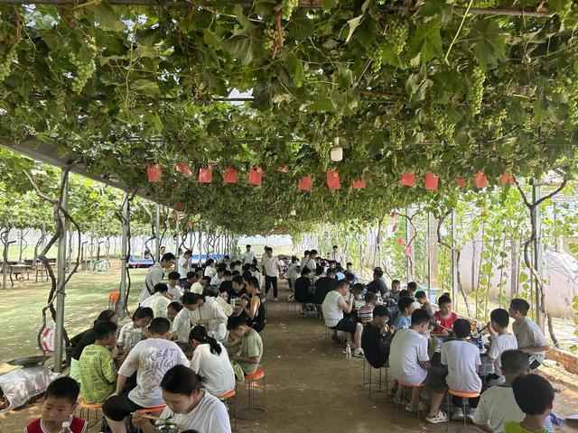 技术赋能文旅体验:郑州樱桃沟沉浸式亲子游的创新解法 文化旅游