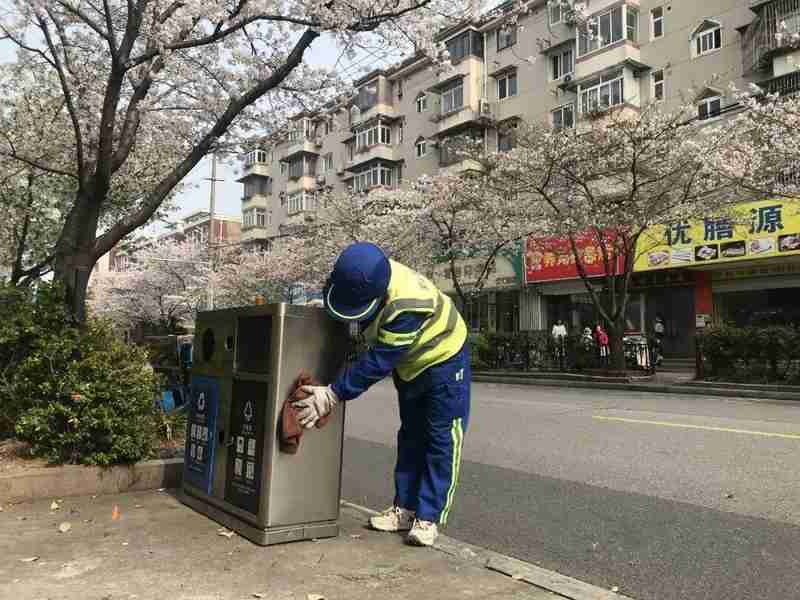 数据驱动下的精准调度:顾村公园樱花季保洁体系全解析 新闻 数据驱动下的精准调度:顾村公园樱花季保洁体系全解析 新闻
