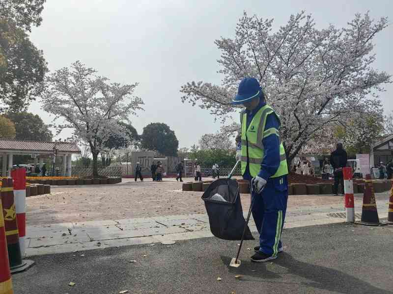 数据驱动下的精准调度:顾村公园樱花季保洁体系全解析 新闻 数据驱动下的精准调度:顾村公园樱花季保洁体系全解析 新闻