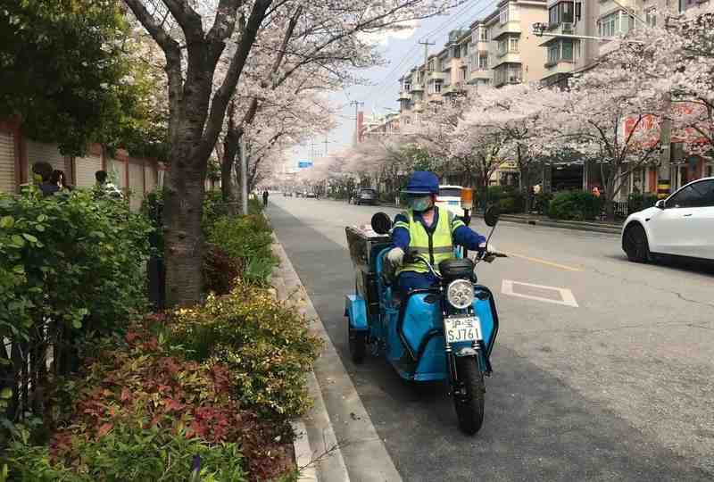 数据驱动下的精准调度:顾村公园樱花季保洁体系全解析 新闻 数据驱动下的精准调度:顾村公园樱花季保洁体系全解析 新闻