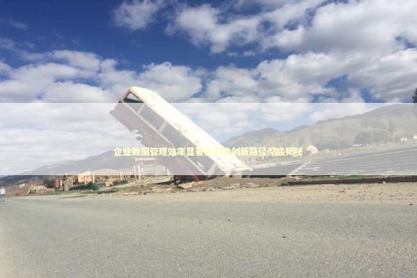 企业数据管理效率显著提高的创新路径彻底揭秘 新闻