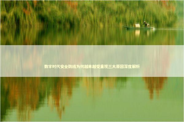 数字时代安全防线为何越来越受重视三大原因深度解析 数字时代安全防线为何越来越受重视三大原因深度解析 IT技术
