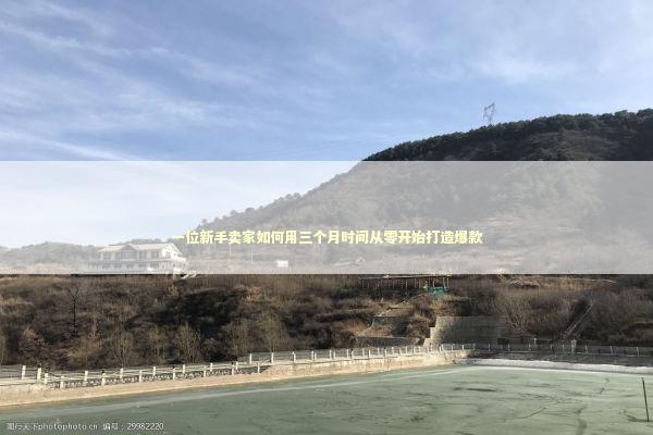 一位新手卖家如何用三个月时间从零开始打造爆款 一位新手卖家如何用三个月时间从零开始打造爆款 企业服务