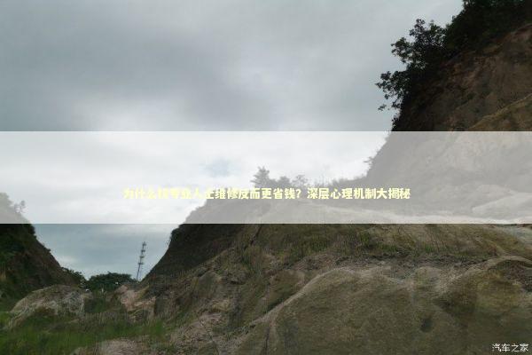 为什么找专业人士维修反而更省钱?深层心理机制大揭秘 为什么找专业人士维修反而更省钱?深层心理机制大揭秘 IT技术