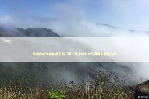数字化时代奢侈品服务升级：线上购物常见问题与解决方案