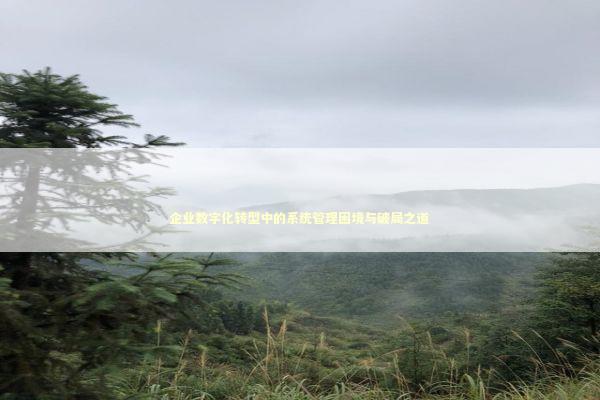 企业数字化转型中的系统管理困境与破局之道 企业数字化转型中的系统管理困境与破局之道 IT技术