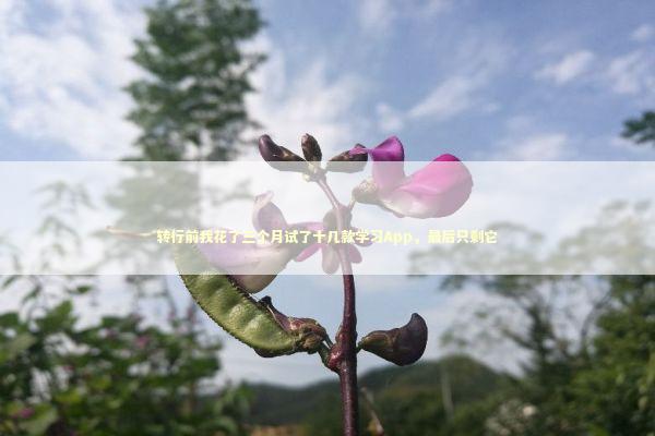 转行前我花了三个月试了十几款学习App,最后只剩它 转行前我花了三个月试了十几款学习App,最后只剩它 教育招生