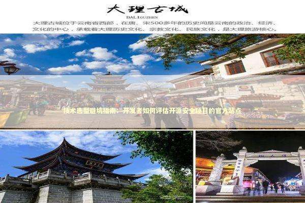 技术选型避坑指南:开发者如何评估开源安全项目的官方站点 技术选型避坑指南:开发者如何评估开源安全项目的官方站点 IT技术